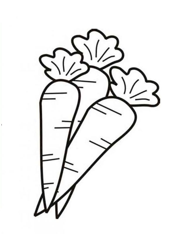 carrots Colouring page