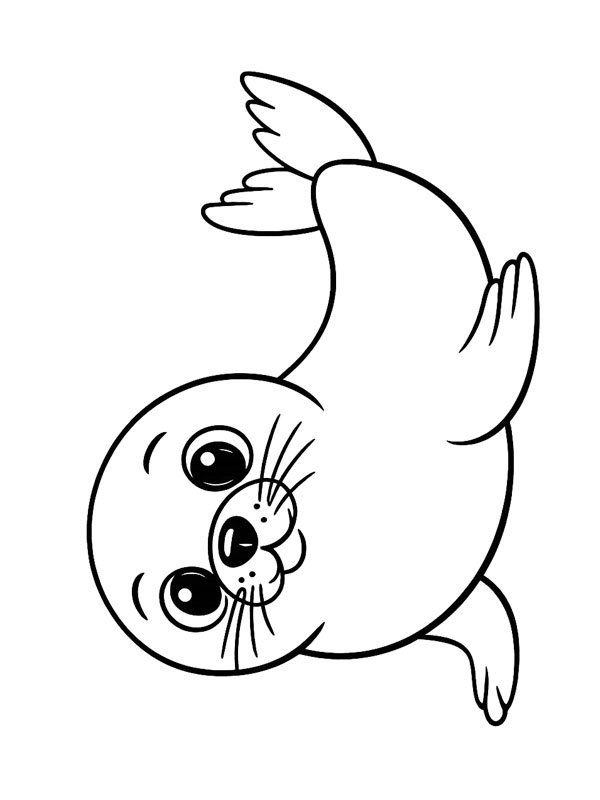 Seal Colouring page